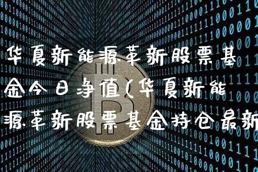 华夏新能源革新股票基金今日净值(华夏新能源革新股票基金持仓最新)_https://www.xjzxxn66.com_币圈资讯_第1张
