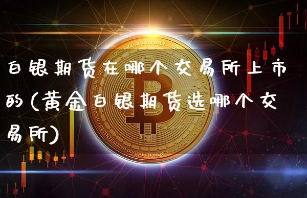 白银期货在哪个交易所上市的(黄金白银期货选哪个交易所)_https://www.xjzxxn66.com_未分类_第1张