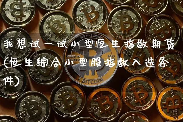 我想试一试小型恒生指数期货(恒生综合小型股指数入选条件)_https://www.xjzxxn66.com_比特币_第1张