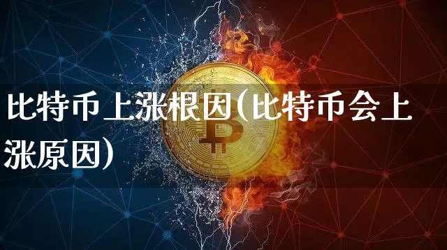 比特币上涨根因(比特币会上涨原因)_https://www.xjzxxn66.com_以太坊_第1张