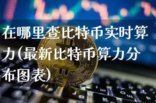 在哪里查比特币实时算力(最新比特币算力分布图表)_https://www.xjzxxn66.com_币圈资讯_第1张