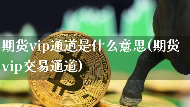 期货vip通道是什么意思(期货vip交易通道)_https://www.xjzxxn66.com_以太坊_第1张