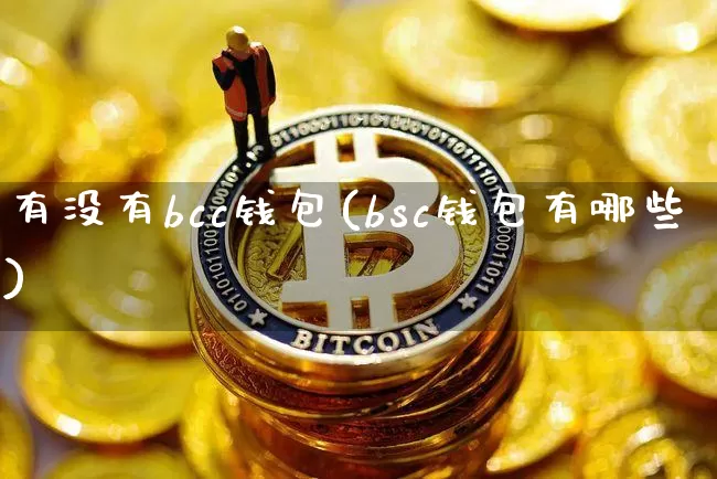 有没有bcc钱包(bsc钱包有哪些)_https://www.xjzxxn66.com_以太坊_第1张