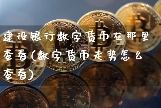 建设银行数字货币在那里查看(数字货币走势怎么查看)_https://www.xjzxxn66.com_区块链_第1张