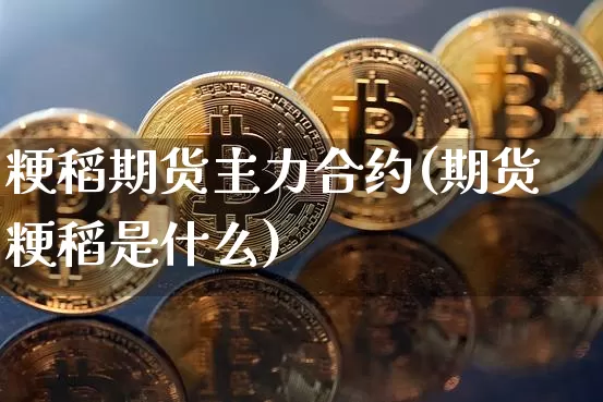 粳稻期货主力合约(期货粳稻是什么)_https://www.xjzxxn66.com_区块链_第1张