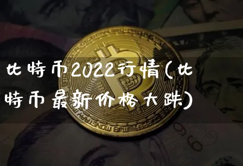 比特币2022行情(比特币最新价格大跌)_https://www.xjzxxn66.com_币圈资讯_第1张