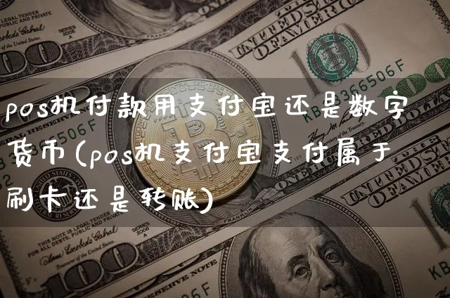 pos机付款用支付宝还是数字货币(pos机支付宝支付属于还是转账)_https://www.xjzxxn66.com_币圈资讯_第1张