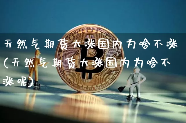天然气期货大涨国内为啥不涨(天然气期货大涨国内为啥不涨呢)_https://www.xjzxxn66.com_区块链_第1张