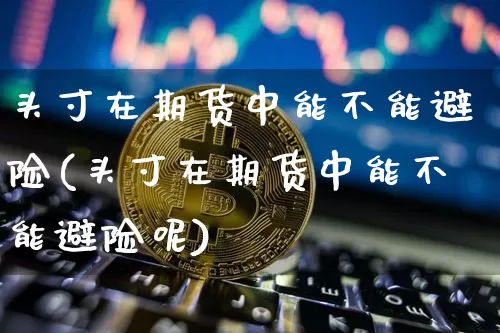 头寸在期货中能不能避险(头寸在期货中能不能避险呢)_https://www.xjzxxn66.com_未分类_第1张