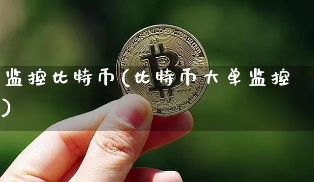 监控比特币(比特币大单监控)_https://www.xjzxxn66.com_以太坊_第1张