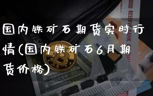 国内铁矿石期货实时行情(国内铁矿石6月期货价格)_https://www.xjzxxn66.com_未分类_第1张