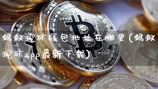 蚂蚁挖矿钱包地址在哪里(蚂蚁挖矿app最新下载)_https://www.xjzxxn66.com_比特币_第1张