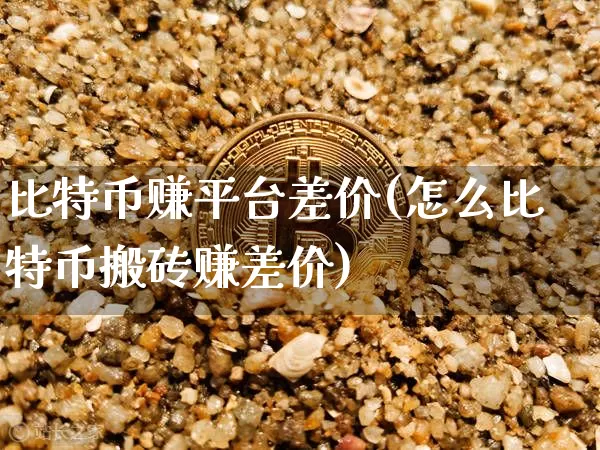 比特币赚平台差价(怎么比特币搬砖赚差价)_https://www.xjzxxn66.com_币圈资讯_第1张