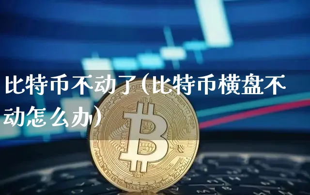 比特币不动了(比特币横盘不动怎么办)_https://www.xjzxxn66.com_币圈资讯_第1张