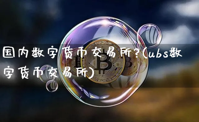 国内数字货币交易所?(ubs数字货币交易所)_https://www.xjzxxn66.com_币圈资讯_第1张