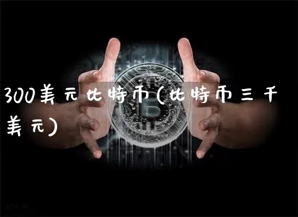 300美元比特币(比特币三千美元)_https://www.xjzxxn66.com_币圈资讯_第1张