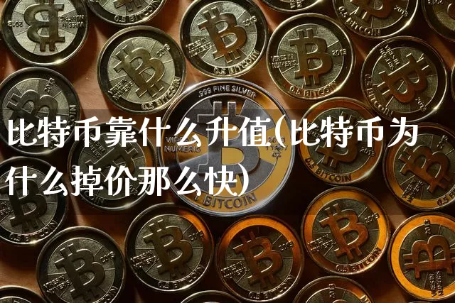 比特币靠什么升值(比特币为什么掉价那么快)_https://www.xjzxxn66.com_比特币_第1张