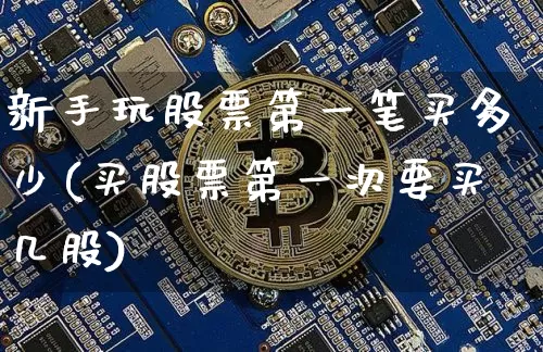 新手玩股票第一笔买多少(买股票第一次要买几股)_https://www.xjzxxn66.com_区块链_第1张