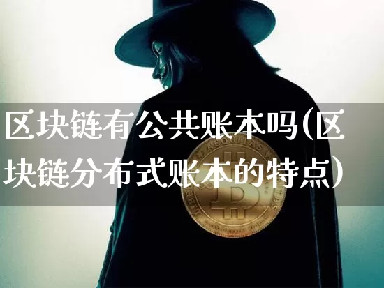 区块链有公共账本吗(区块链分布式账本的特点)_https://www.xjzxxn66.com_比特币_第1张