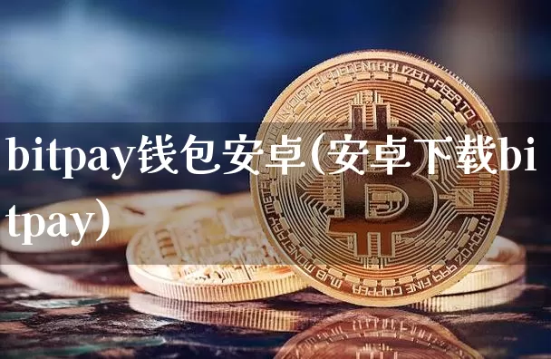 bitpay钱包安卓(安卓下载bitpay)_https://www.xjzxxn66.com_比特币_第1张