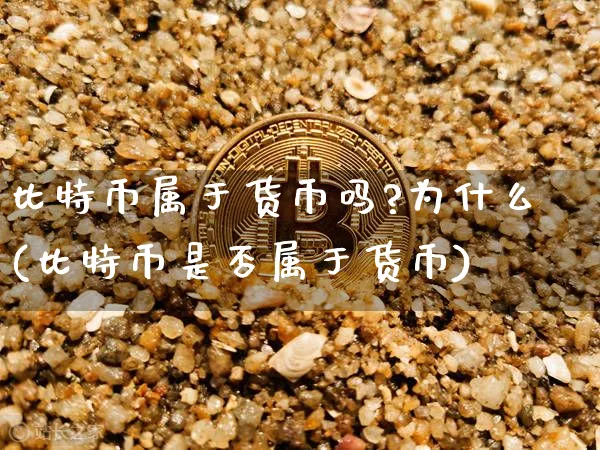 比特币属于货币吗?为什么(比特币是否属于货币)_https://www.xjzxxn66.com_币圈资讯_第1张