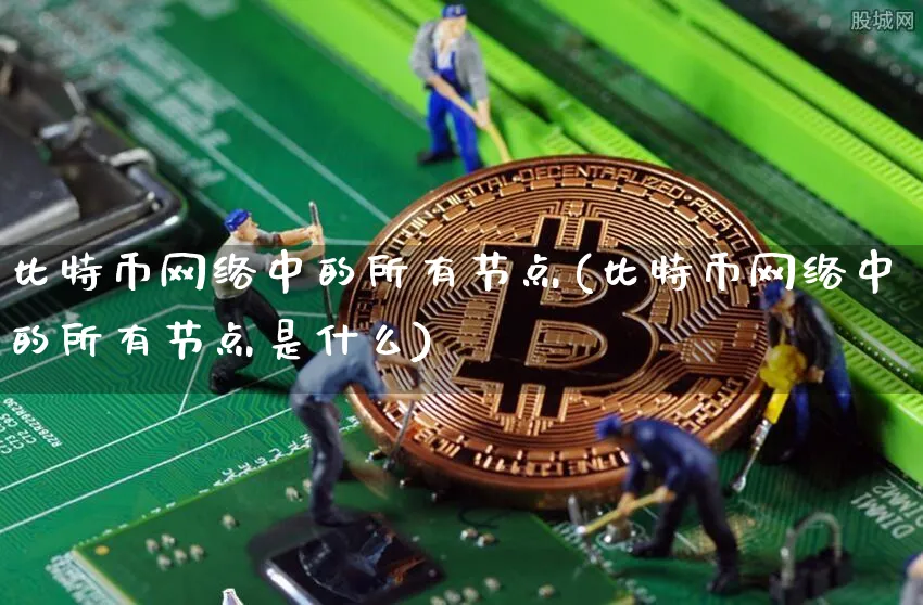 比特币网络中的所有节点(比特币网络中的所有节点是什么)_https://www.xjzxxn66.com_币圈资讯_第1张