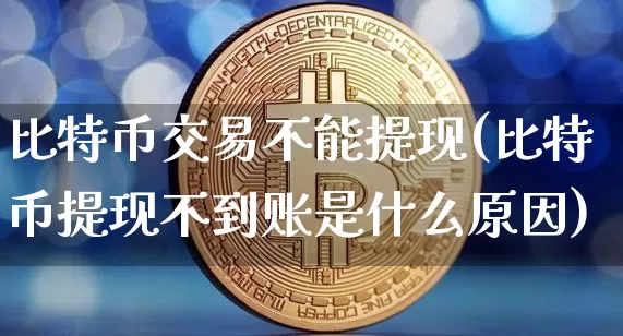 比特币交易不能提现(比特币提现不到账是什么原因)_https://www.xjzxxn66.com_以太坊_第1张