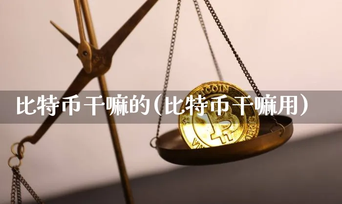 比特币的(比特币用)_https://www.xjzxxn66.com_币圈资讯_第1张