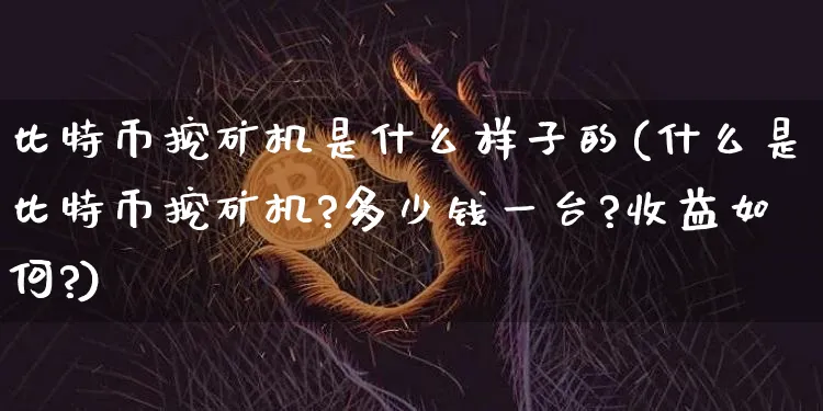 比特币挖矿机是什么样子的(什么是比特币挖矿机?多少钱一台?收益如何?)_https://www.xjzxxn66.com_以太坊_第1张