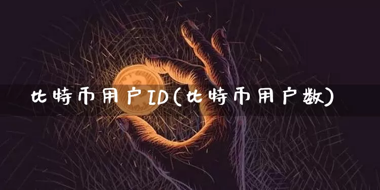 比特币用户ID(比特币用户数)_https://www.xjzxxn66.com_比特币_第1张