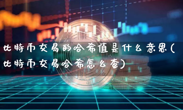 比特币交易的哈希值是什么意思(比特币交易哈希怎么查)_https://www.xjzxxn66.com_币圈资讯_第1张