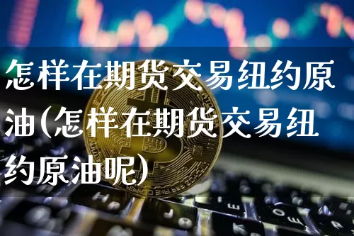 怎样在期货交易纽约原油(怎样在期货交易纽约原油呢)_https://www.xjzxxn66.com_未分类_第1张