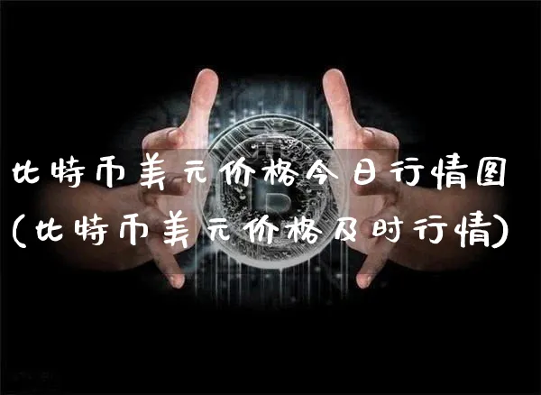 比特币美元价格今日行情图(比特币美元价格及时行情)_https://www.xjzxxn66.com_以太坊_第1张
