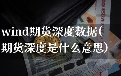 wind期货深度数据(期货深度是什么意思)_https://www.xjzxxn66.com_比特币_第1张