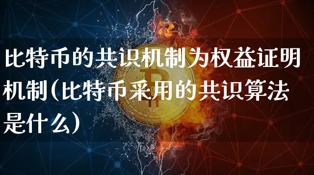 比特币的共识机制为权益证明机制(比特币采用的共识算法是什么)_https://www.xjzxxn66.com_以太坊_第1张