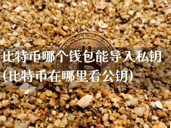 比特币哪个钱包能导入私钥(比特币在哪里看公钥)_https://www.xjzxxn66.com_比特币_第1张