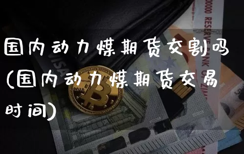 国内动力煤期货交割吗(国内动力煤期货交易时间)_https://www.xjzxxn66.com_以太坊_第1张