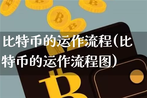 比特币的运作流程(比特币的运作流程图)_https://www.xjzxxn66.com_比特币_第1张