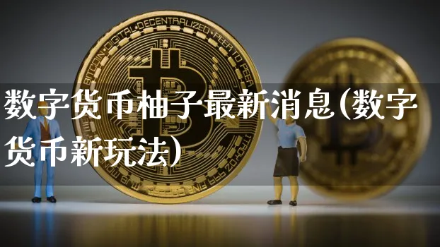 数字货币柚子最新消息(数字货币新玩法)_https://www.xjzxxn66.com_以太坊_第1张