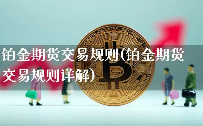 铂金期货交易规则(铂金期货交易规则详解)_https://www.xjzxxn66.com_比特币_第1张