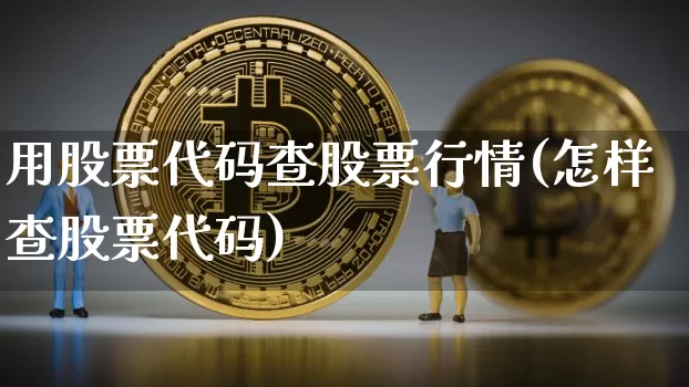 用股票代码查股票行情(怎样查股票代码)_https://www.xjzxxn66.com_比特币_第1张