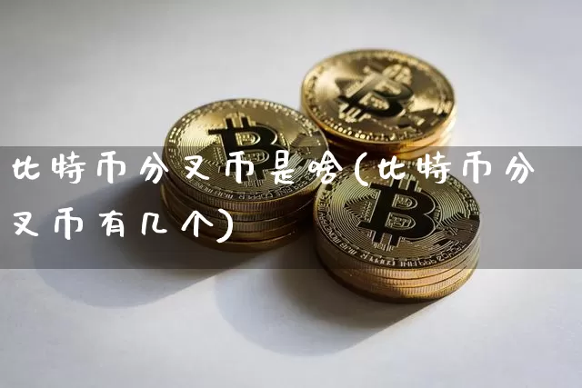 比特币分叉币是啥(比特币分叉币有几个)_https://www.xjzxxn66.com_比特币_第1张