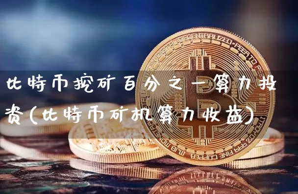 比特币挖矿百分之一算力投资(比特币矿机算力收益)_https://www.xjzxxn66.com_以太坊_第1张