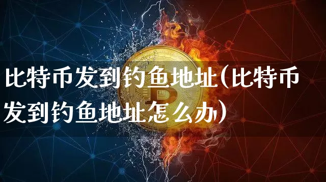 比特币发到钓鱼地址(比特币发到钓鱼地址怎么办)_https://www.xjzxxn66.com_区块链_第1张