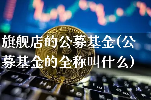 旗舰店的公募基金(公募基金的全称叫什么)_https://www.xjzxxn66.com_未分类_第1张