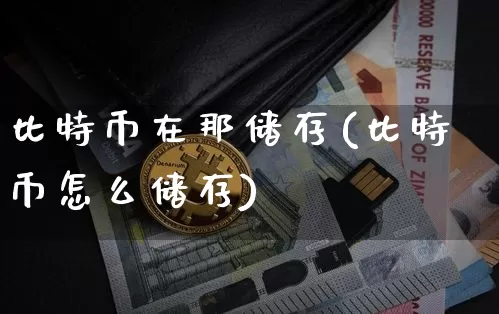 比特币在那储存(比特币怎么储存)_https://www.xjzxxn66.com_币圈资讯_第1张