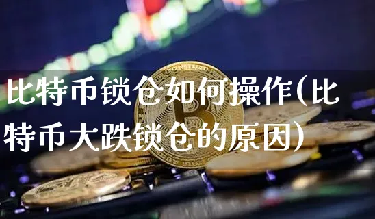 比特币锁仓如何操作(比特币大跌锁仓的原因)_https://www.xjzxxn66.com_以太坊_第1张
