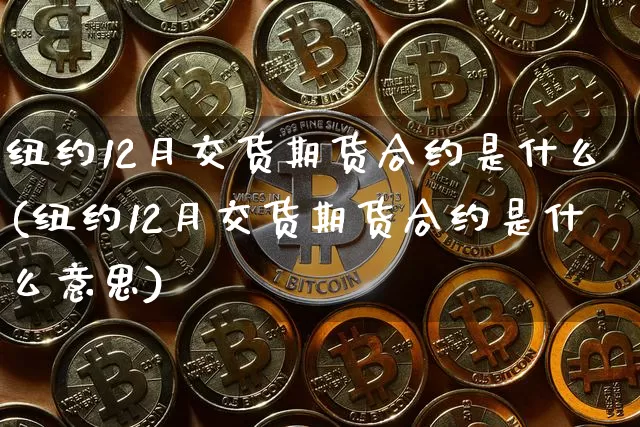 纽约12月交货期货合约是什么(纽约12月交货期货合约是什么意思)_https://www.xjzxxn66.com_以太坊_第1张