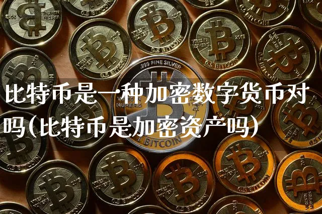 比特币是一种加密数字货币对吗(比特币是加密资产吗)_https://www.xjzxxn66.com_以太坊_第1张