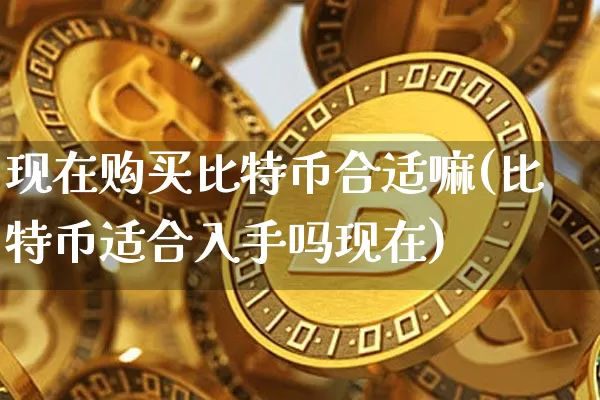 现在购买比特币合适嘛(比特币适合入手吗现在)_https://www.xjzxxn66.com_币圈资讯_第1张